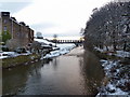 River Calder in BB7 9NY