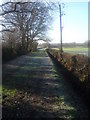Footpath Botley Park Hotel to Hedge End Station in SO32 2SW