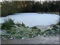 Frozen pond near Parthings in RH12 1XR