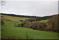 Wooded valley north of Luxborough in TA23 0SA