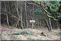 Footpath junction, Monkham Wood in TA23 0SA