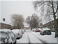 Looking eastwards along a snowy  Ibsley Grove in PO9 3AA