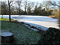 Frozen Millpond near Broadbridge Farm in RH12 3GN