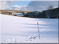Snowy Tyne Valley in EH40 3BZ