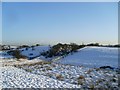 Deep cut embankment in the Barrhead countryside in G78 1TY