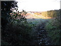 Footpath to Wellcross Grange in RH12 3GN