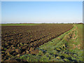 Field off Bancroft Drove in CB7 5UP
