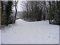 Snowy Path in the Park in DY3 3RF