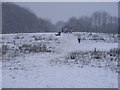 Sledding in the Park in DY3 3RF
