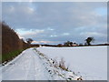 Snow Covered Road in NR13 6NL