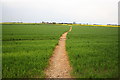 Footpath to Carr Farm in LN6 4RY