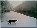 Grand Union Canal in the Snow in WD4 8FU
