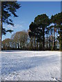 Snow on the old golf course in SO53 3HN