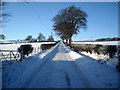 Snow Covered Road to Highhill Cottage in G76 0AW