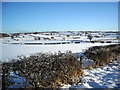 Snowy Fields Near Polnoon in G76 0NX