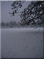 Golders Hill Park in snow in NW11 7BS