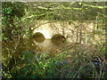Bridge over the River Leen in Papplewick