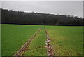 Footpath across the field in TA4 3TT