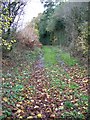 Footpath, Lambourn Woodlands in RG17 7TP