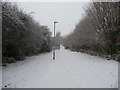 Tiverton : Path & Snow Scene in EX16 6TR