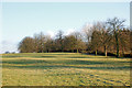 Pasture north of the driveway to Willoughby House in CV23 8BU