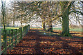 Fallen leaves beside the driveway to Willoughby House in CV23 8BU