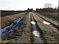 Farm track and footpath near Hamerton in PE28 5RG