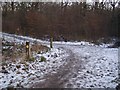 Footpath and track junction in Blean Woods in CT2 9JN