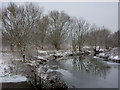 River Gipping in winter in IP2 0DA