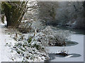 Gipping riverbank with snow and ice in IP2 0DA