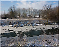 Winter view across the river in IP1 1AA