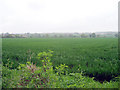 Fields south of Loughborough in LE11 2UT
