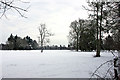 Trees in the snow in Handcross & Pease Pottage Ward