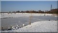Pond at Dowd's Farm Park in January 2010 in SO30 2UJ