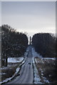 Approach Road to the Castle Howard Obelisk in YO60 7DD