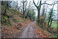 Footpath up Bicknoller Hill in TA4 4EN