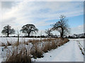 Footpath to Stoke Road in Caistor St. Edmund and Bixley