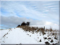 Approaching Caistor St Edmund chalk pit in Caistor St. Edmund and Bixley