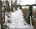 Boudica's Way to Arminghall in Caistor St. Edmund and Bixley