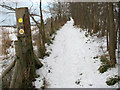 Boudica's Way skirting the chalk pit in Caistor St. Edmund and Bixley