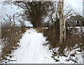 Skirting the eastern edge of the chalk pit in Caistor St. Edmund and Bixley