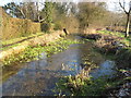 River Lambourn at Woodspeen in RG20 8AG