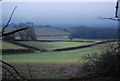 Fields near Bicknoller in TA4 4EY
