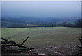 Field SW of Thorncombe Lane in TA4 4EY