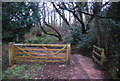 Gate, Thorncombe Lane in TA4 4EX