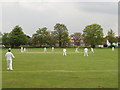 Cricket on Abbey Fields, Chertsey in KT16 8PS