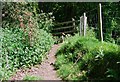 Stile into the mixed woodland in LL21 9AP