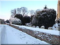 Snow capped in Wisbech St Mary