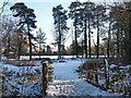 Snow scene at Tredegar House Country Park in NP10 8BD