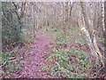 Footpath in open land near Hook Green in TN3 8LJ